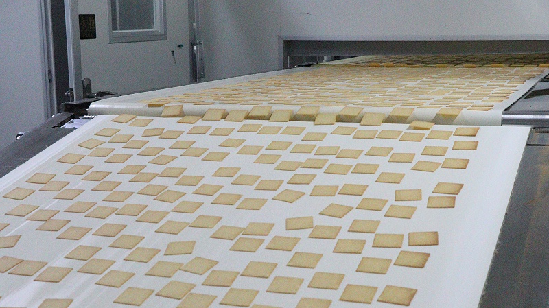 �����jnh-��������