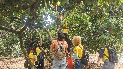 ���縣���������jnh��֯ժ��֦�